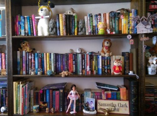 My bookshelves