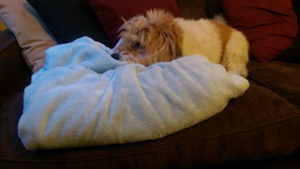 Annie with the blue blanket.