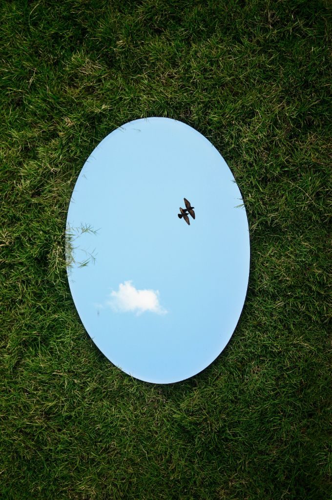Mirror in grass, Photo credit: Jovis Aloor