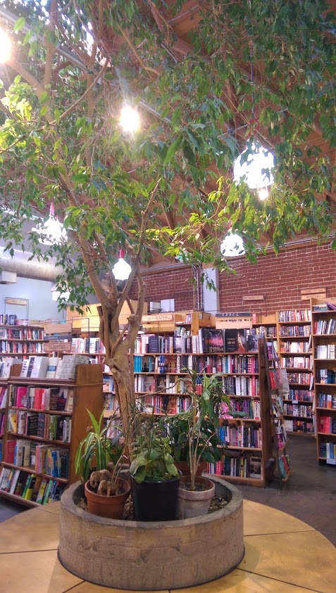 The tree in Skylight Books!