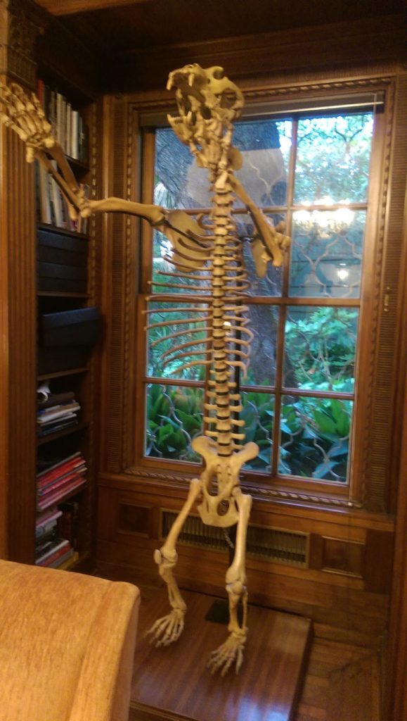 The house where the Texas Book Festival Author Lineup Reveal was held had some very cool artwork, including this skeleton. What do you think it is?