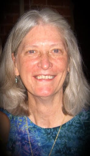 Anne O'Brien Carelli, author of middle-grade novel SKYLARK AND WALLCREEPER